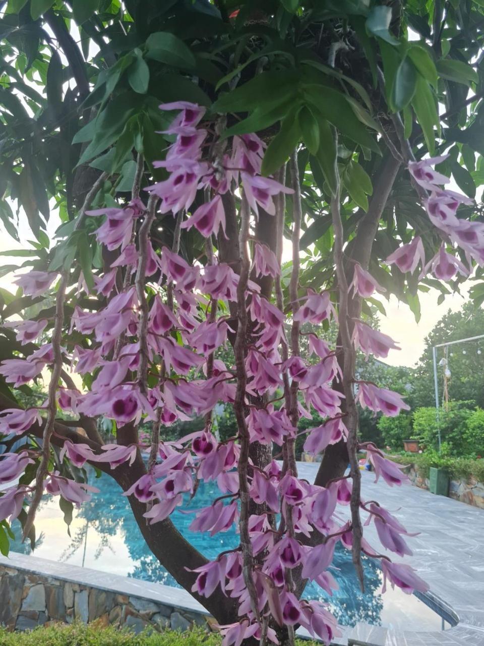 Villa ByVe Garden Hanoi Exterior foto